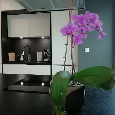Woronicza Premium Apartman Varsó
